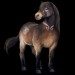 Divocí koně- Exmoorský pony